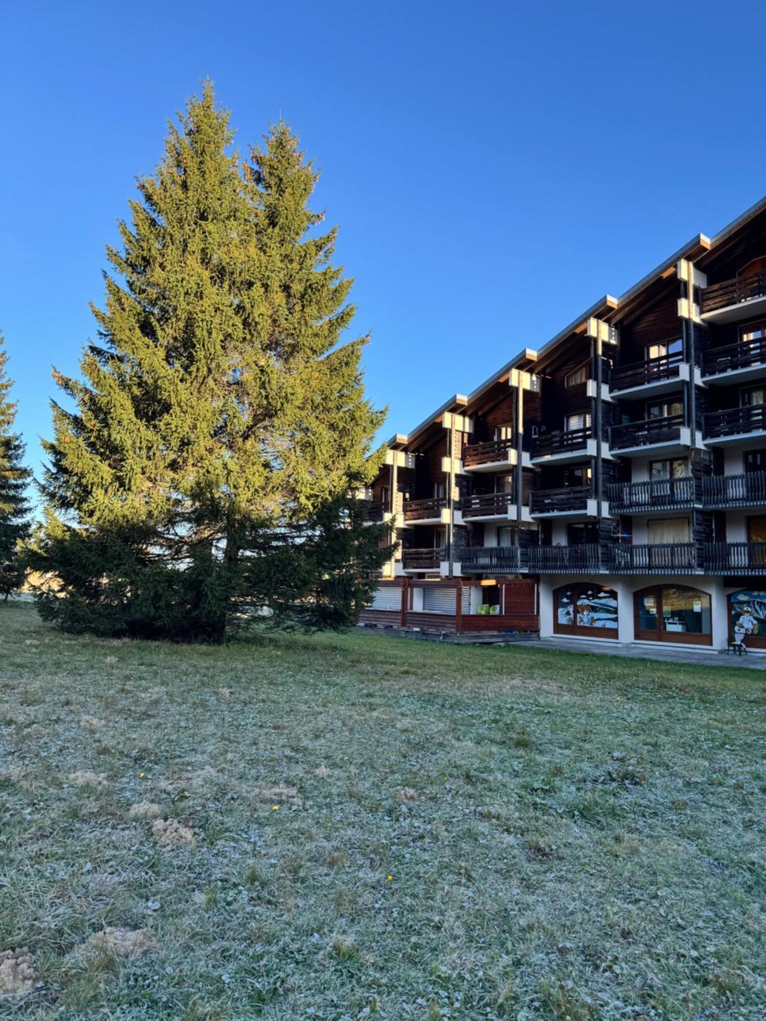 Superbe Studio De Montagne, Au Pied Des Pistes De Ski, Classe 3 Etoiles La Morte 外观 照片